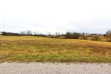 549 Eli Dr, Jackson, MO 63755 - photo 4