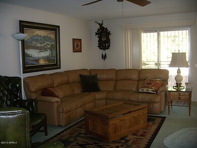 9502 W Cottonwood Dr, Sun City, AZ 85373 - photo 7