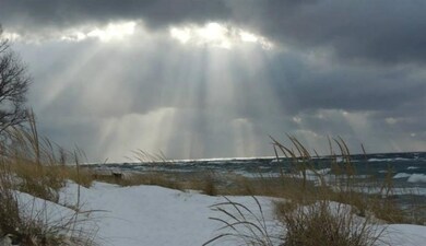 16000 Lakeshore Rd unit 25, Union Pier, MI 49129 - photo 6