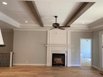 2927 Travis French GR Fireplace