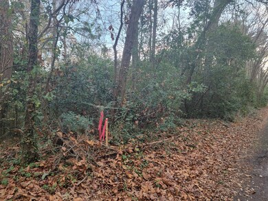 0 S Vine unit 29342199, Tyler, TX 75701 - photo 2