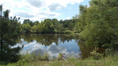 0 County Road 422, Epps Township, MO 63901 - photo 5