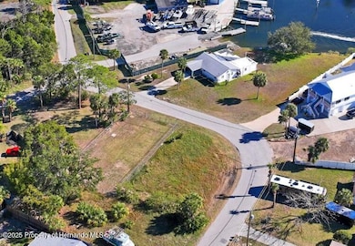 0 Pine Dale Ct, Hernando Beach, FL 34607 - photo 5