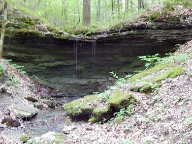 Dripping Springs.