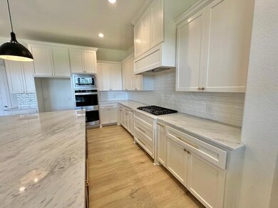 1124 Stagecoach Ranch Dr, Weatherford, TX 76085 - photo 5