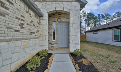 30260 Kingston Heath Dr, Cleveland, TX 77327 - photo 5