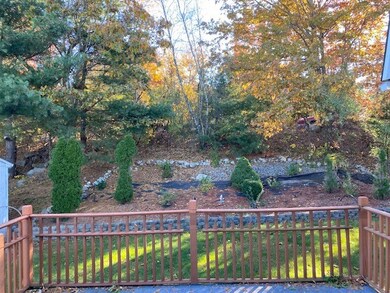 Backyard line of trees and bushes provides privacy