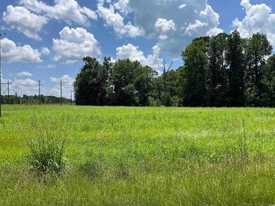 View of local wilderness with rural landscape