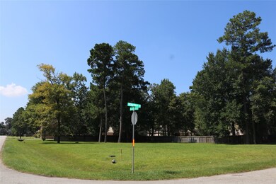 6703 Hayden Dr, Magnolia, TX 77354 - photo 4