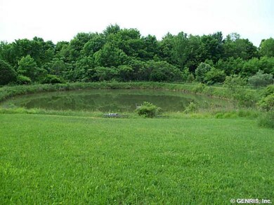 Waterfront/Dock/Pier. Nice sized pond w/fish