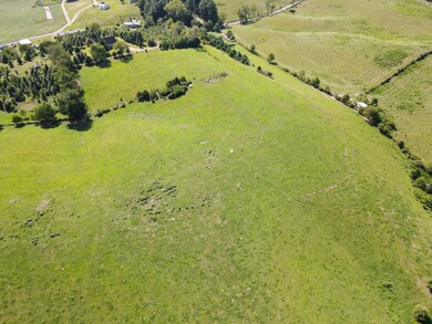 DJI_0946