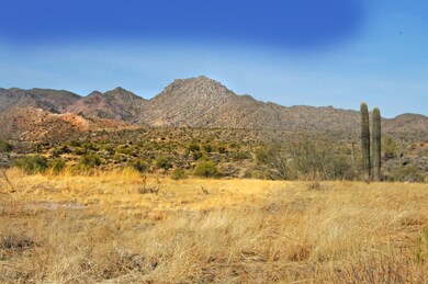 14352 E DESERT TORTOISE Trail, 30,