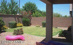 Rear Yard