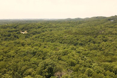 TBDValleyViewRdForsythMO-31