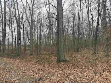 Lot 1 Ludwig Rd, Grafton, WV 26534 - photo 7