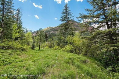 TBD Firehouse Rd, Redstone, CO 81623 - photo 5