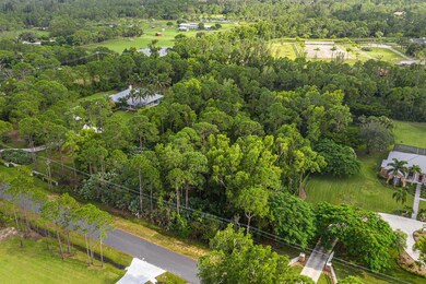 003-13060150thCtN-Jupiter-FL-small
