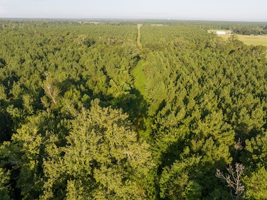 1 Edgerly Rd, Dequincy, LA 70633 - photo 4