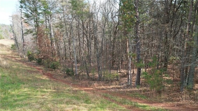 0000 Blackburn Tract 3a Rd, Dawsonville, GA 30534 - photo 4