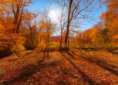 0 Old Highway 48 unit RTC3045255, Clarksville, TN 37040 - photo 4