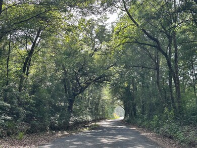 79+/- AC Old River Rd, Baker, FL 32531 - photo 3