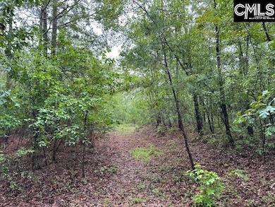 P/O 1375 Fallaw Rd, Gaston, SC 29053 - photo 3