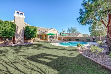 Backyard Grass