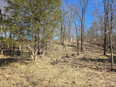 Tbd Highway 72, Salem, MO 65560 - photo 7