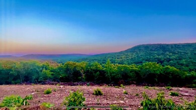 Valley Views