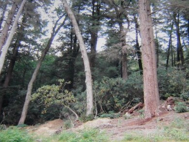Native flora