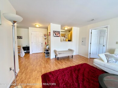06 Living room facing entry and pass thr
