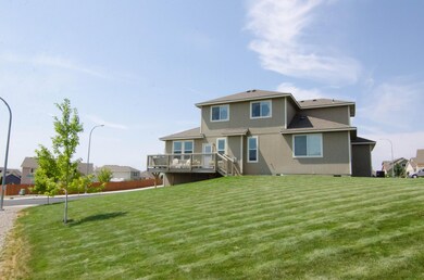 2 Extra Large Backyard