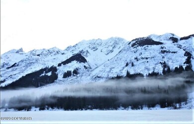 Chilkat Lake Winter