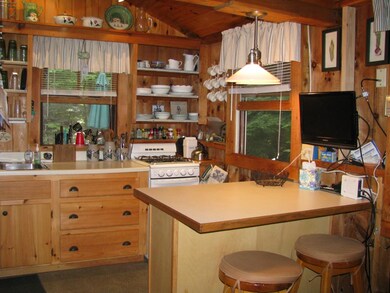 43 Fernhill Dr, Alton, NH 03809 - photo 7