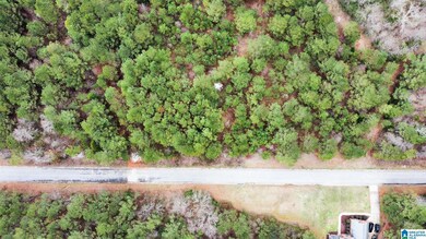 0 Stonegate Cir unit 21429355, Lincoln, AL 35096 - photo 5