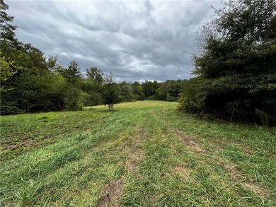 3588 Teague Farm Rd, Seagrove, NC 27341 - photo 7