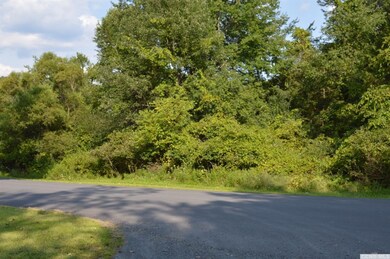 36 - F Sleepy Hollow Lake Rd, Athens, NY 12015 - photo 2