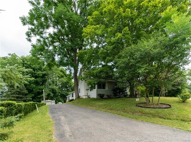 Beautiful Mature Trees for Privacy!!