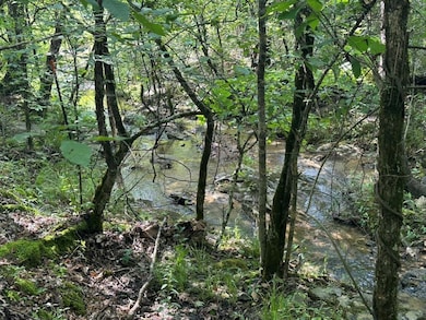 179 Frances Fir Rd, Broken Bow, OK 74728 - photo 3