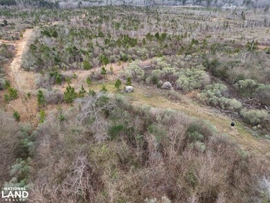 Hwy 13 Morton Ms, Morton, MS 39117 - photo 6