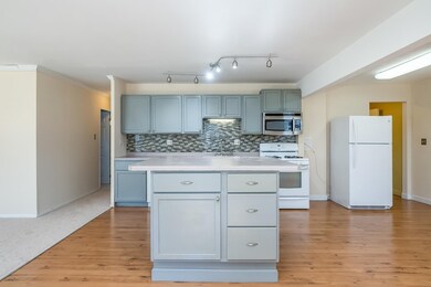 506 Waco Ln, Carpentersville, IL 60110 - photo 5