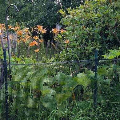 13 Plum Island Blvd unit B, Newbury, MA 01951 - photo 7