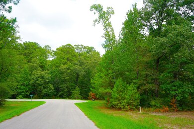 75 N Forest Dr, Huntsville, TX 77340 - photo 5