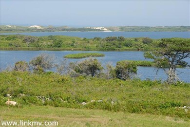 39 Spruce Gate Rd, Chilmark, MA 02535 - photo 2