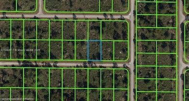 105 Citation St NW, Lake Placid, FL 33852 - photo 3