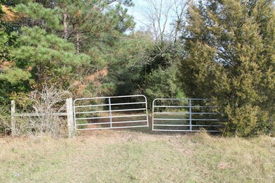 TBD U S 280 W, Americus, GA 31709 - photo 2