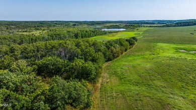 Amdak__Dunseith ND 120 Acres_0019