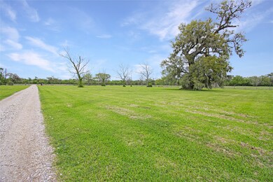 20272 County Road 319, Brazoria, TX 77422 - photo 4