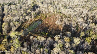 dji_fly_20230316_081356_634_167897275794