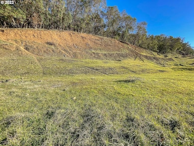 817 N View Dr, Roseburg North, OR 97495 - photo 2